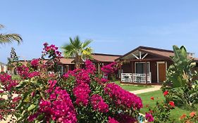 Sedir Park - Beach Bungalow